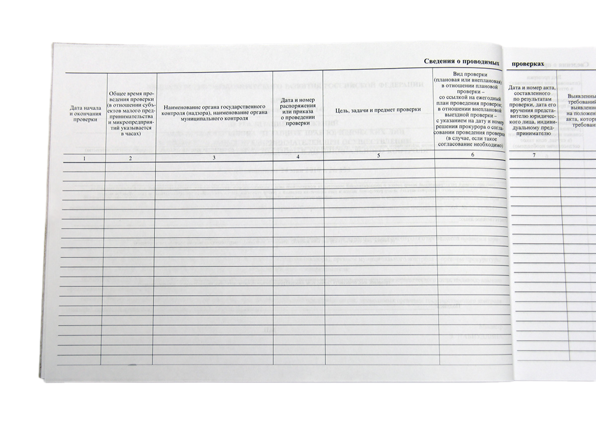 Журнал учета проверок юридического лица, индивидуального предпринимателя