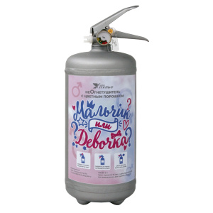 неОгнетушитель для Гендер Пати 2 л, розовый дым (девочка), серебряный баллон