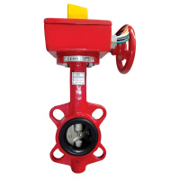 BWGT (DN65) затвор дисковый межфланцевый с редуктором BWGT (DN65) затвор дисковый межфланцевый с редуктором