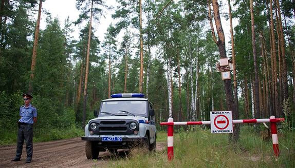 Пожарная безопасность в лесах Подмосковья