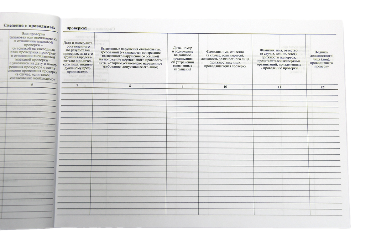 Журнал учета проверок юридического лица, индивидуального предпринимателя