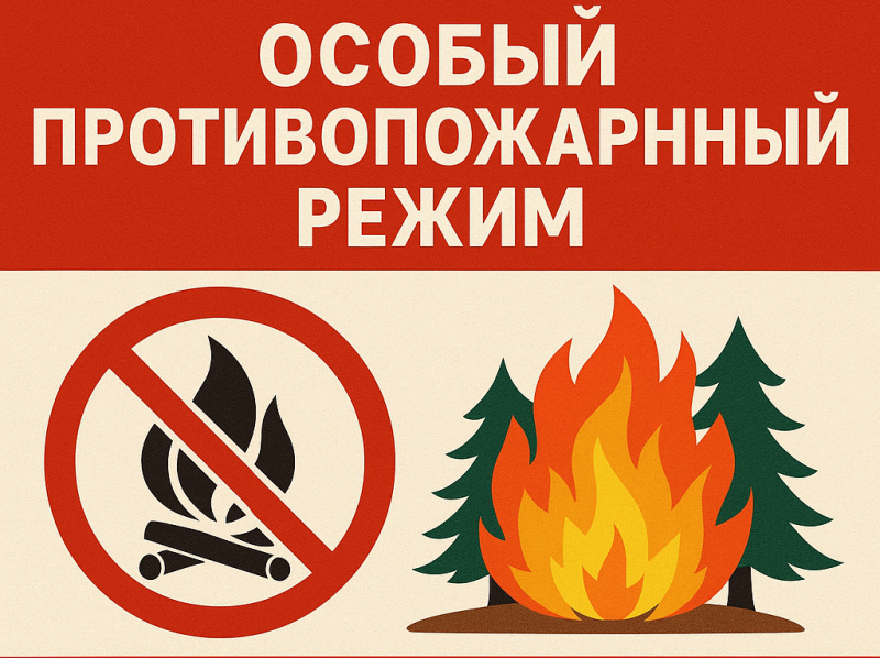 Особый противопожарный режим: что это, правила и ответственность в 2025 году
