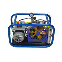 ПТС ВЕКТОР компрессор переносной ПТС ВЕКТОР компрессор переносной