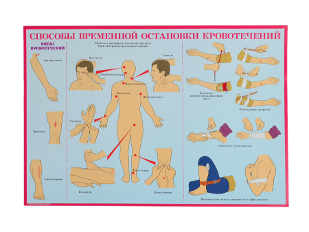 Комплект плакатов 'Первая помощь при чрезвычайных ситуациях' (А3, 10 листов) Комплект плакатов 'Первая помощь при чрезвычайных ситуациях' (А3, 10 листов)