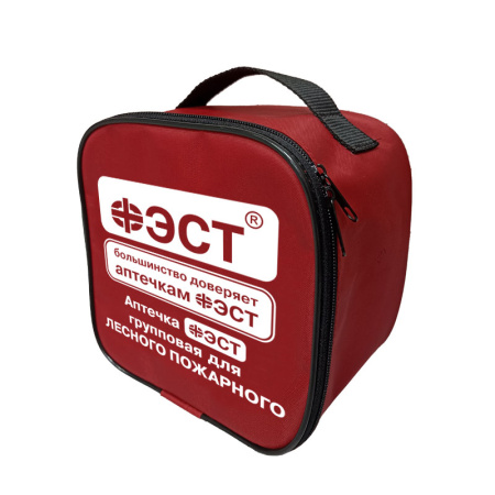 Аптечка групповая для лесного пожарного ФЭСТ